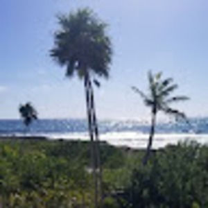 Meet your Posher, Roni